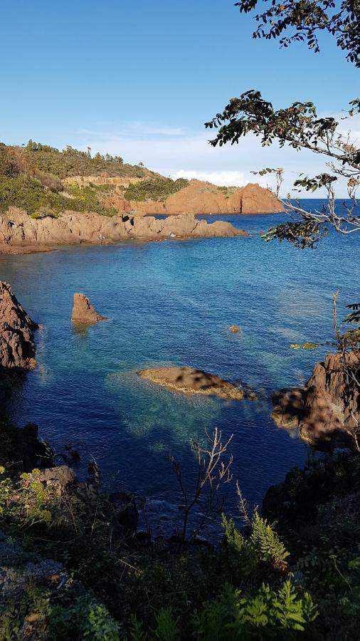 Saint Raphael - Appartement Dans Villa Au Calme A Valescure Y- Prix Inchanges ภายนอก รูปภาพ